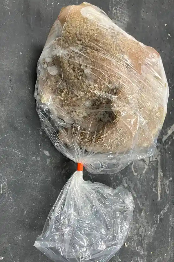 Goat Stomach (Tripe)