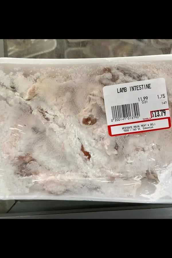 Lamb Intestine